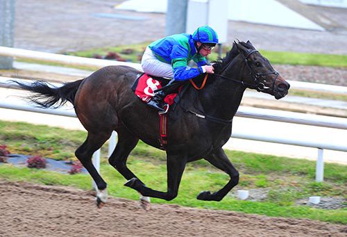 Above The Law and Sam James scoring at Dundalk
