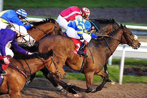 Prospectorus, blue and yellow, finds the line at Dundalk