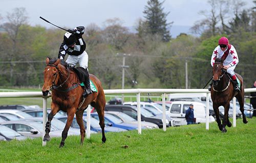 The Two Jays is driven out by Alan Crowe to beat Hurricane Jojo in second