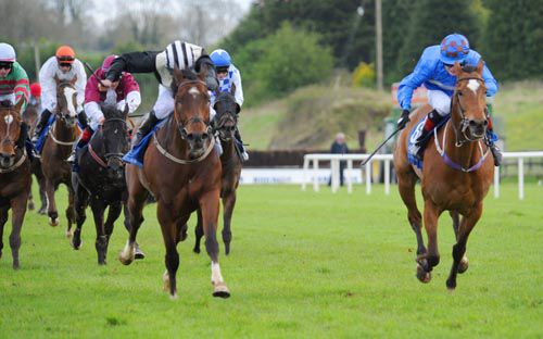 Speed Dial is driven out by Colm O'Donoghue to beat Gothen Niece on the outside