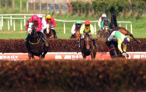 Johannisberger (left) is clear as Old Laxey falls at the second last 