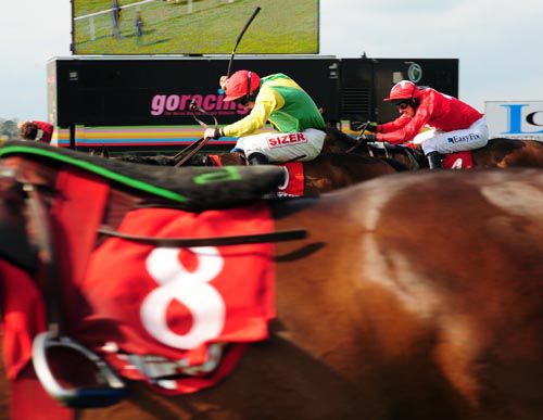 House Rules is driven out to beat He's Our Man with the rider less Dante's King in the foreground