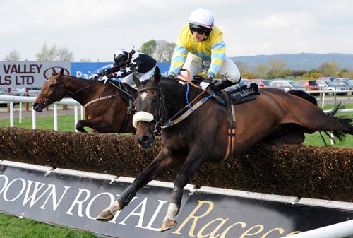 Carmels Boy is awkward at the last in Down Royal