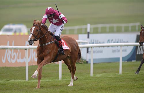 Made In Germany & Patrick Mullins on their way to victory