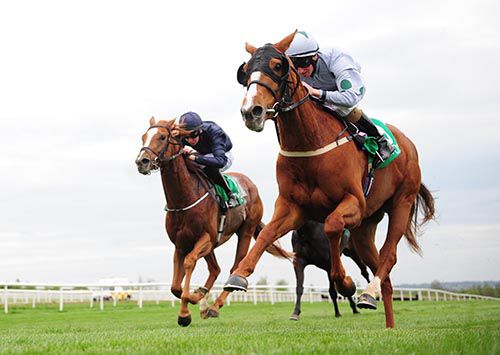 Katchy Lady and Chris Hayes win from Vinson Massif 