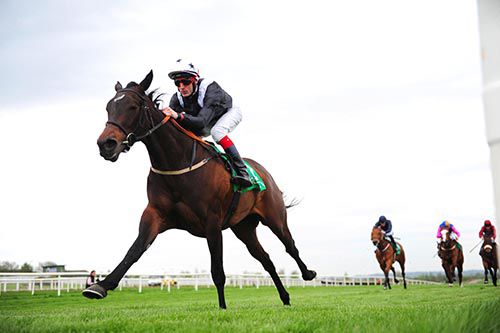 Alive Alive Oh and Fran Berry 