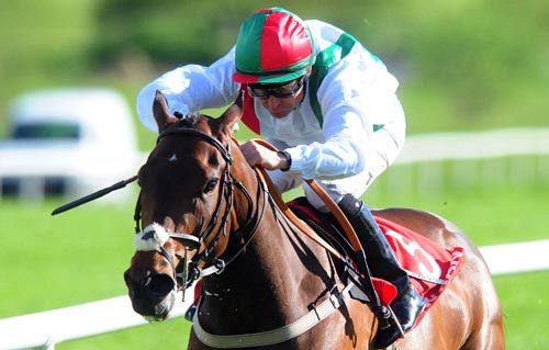 Akira pictured on her way to victory at Gowran last year