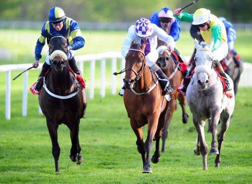 Vastonea (grey) narrowly beat Miracle Cure (centre) and Regulation at Gowran