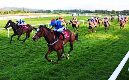 Pepparpot (nearside) has done enough under Katherine O'Brien to see off Badger Daly at Gowran
