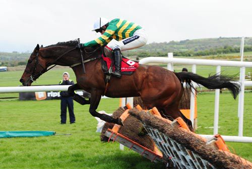 He got the last wrong but City Slicker still won easily under Ruby Walsh at Punchestown