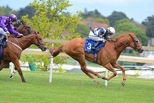 Duntle & Wayne Lordon on their way to victory from Custom Cut in second