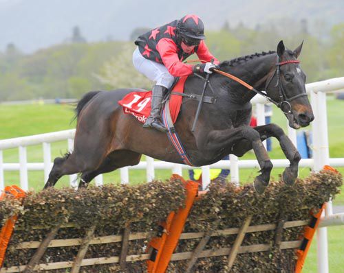 Cry For The Moon jumps the last on his way to an easy win under Paddy Mangan