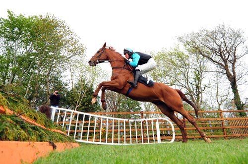 Great snap of Mossey Joe & Damien Skehan taking off at a fence