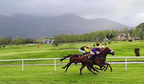 Secret Recipe, purple, swoops down the outside at Killarney