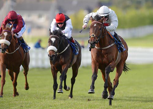 Euphrasia is driven out by Gary Carroll to beat Princess Highway and La Collina