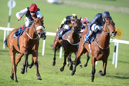 Resolute Response (left) gets the better of Lake Nova 