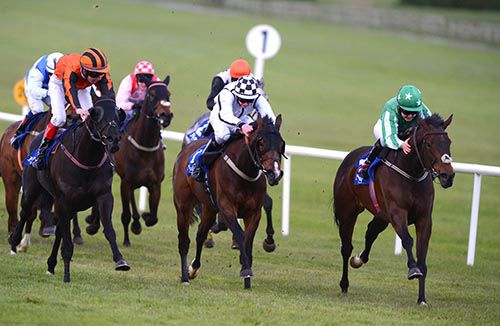 Great Ability (right) is pushed out by Katherine O'Brien from September Lily (centre) and Enough Is Enough on the right