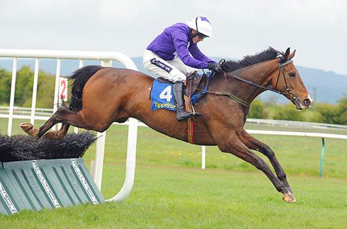 Young Finnegan and Ruby Walsh in full flight at Tipperary