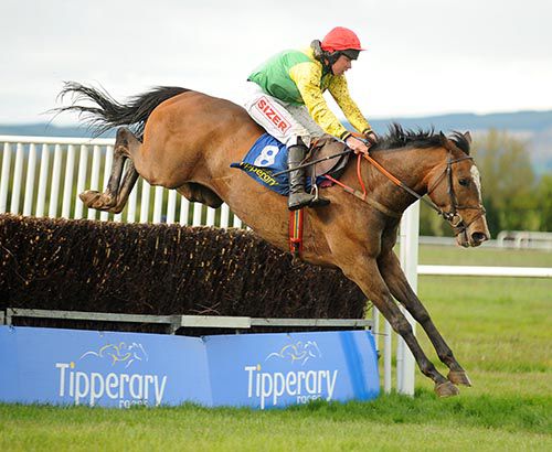 Sizing Rio and Andrew Lynch at the second last in Tipperary