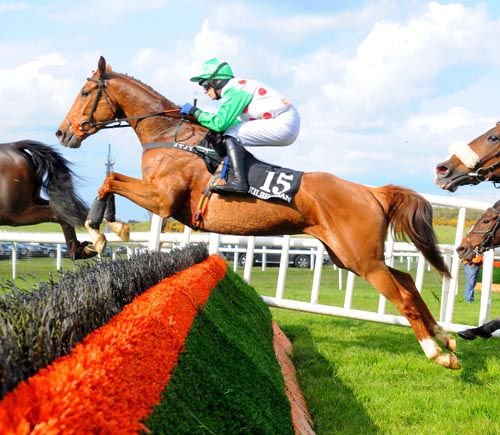 Cherish The Pear jumps a hurdle on her way to victory in the opener at Kilbeggan