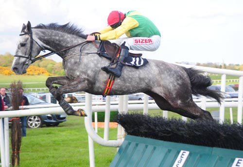 Sizing Sahara jumps the last under Andrew Lynch