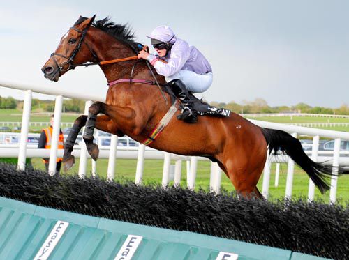 Maccas Lad & Ryan Treacy jump the last 