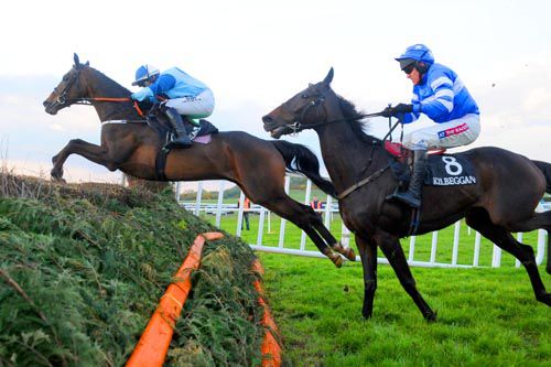 Wise Oscar jumps the last ahead of Pigeon Creek