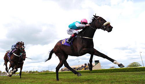 Tuscan Light beat Madam Mo at Wexford