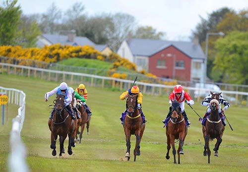 Wexford races this evening