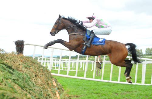 Brilliant snap of Tarla springing over a fence