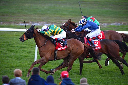 Lethal Weapon holds on at Roscommon