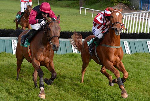 Sunsetstorise (left) and Zabana race away from the last