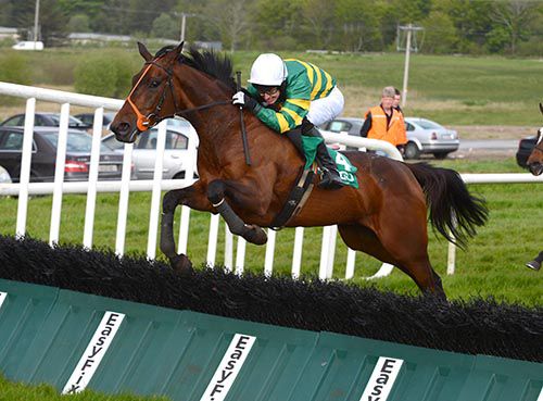Stop The Clock jumps the last on her way to victory under Jody McGarvey