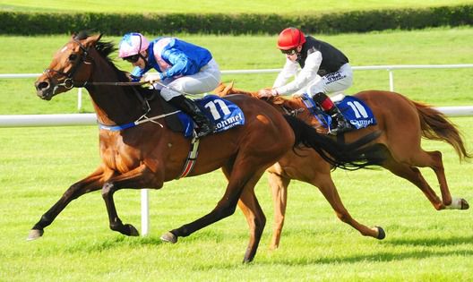 Silky leads Sharp Crisp Air