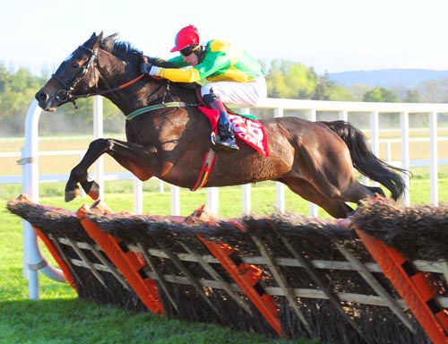 Samantha Jones flies over the last on her way to victory under Eddie O'Connell