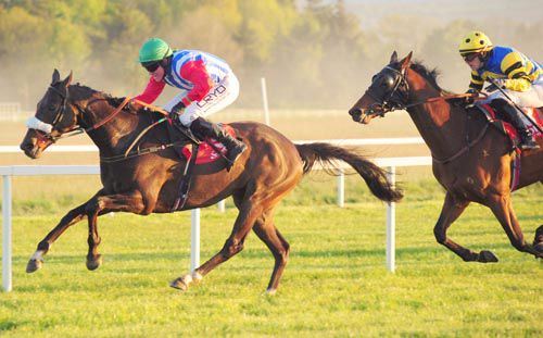 Here For The Craic is driven out by Declan Queally to beat Waylander in second