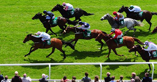 Hitchens, near side, wins by a neck at the Curragh