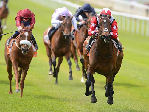 Chigun and Tom Queally come home clear at the Curragh