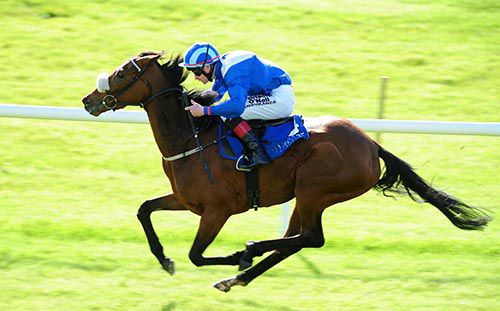 Salhooda is driven out by Pat Smullen 