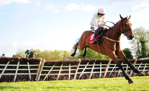 Indevan pops the last at Punchestown