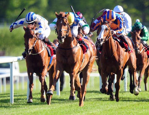 Queen Of The Sand (left) comes with her challenge on the rail with King Oliver (centre) leading