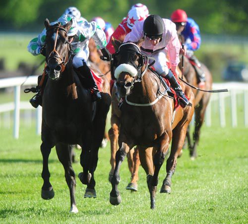Brown Butterfly (right) is driven out by Sam James with Great Soprano alongside