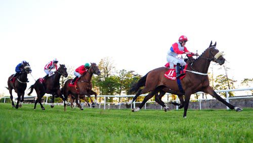 Bensoon pricks his ears and veers left close home