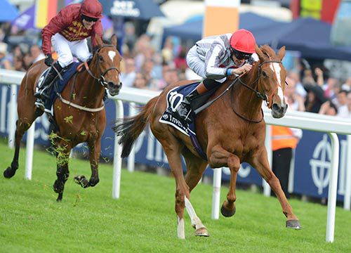 Secret Gesture pictured finishing second to Talent in the Epsom Oaks