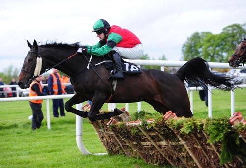 Alderimli and Andrew Ring in action at Down Royal