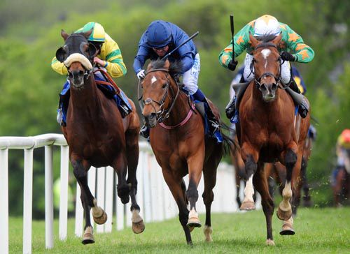 Invincible Don (right) comes to 'do' Sword Of Honour (centre) and Magical Moon (rail)