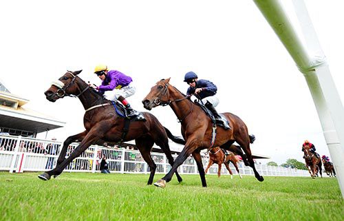 Glory Boy comes through to beat Ruler Of France at Listowel