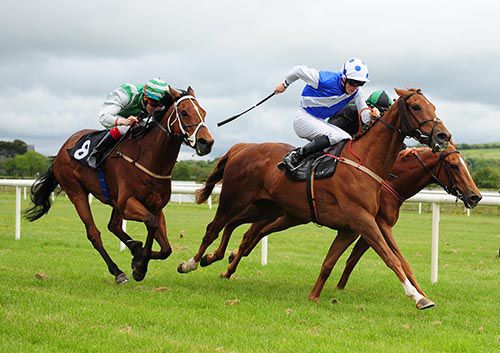 Empresario, middle, comes to win at Listowel