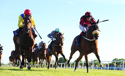 Lily Of Kenmare (noseband) got up to beat Enigma Code with eye-catcher Legal Lyric between the pair