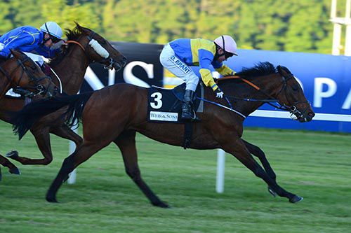 Knights Templar & Danny Grant on their way to victory